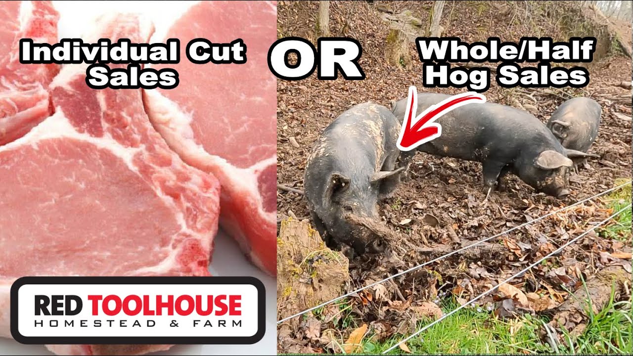 Which is More Profitable - selling pork cuts or whole/half pigs?