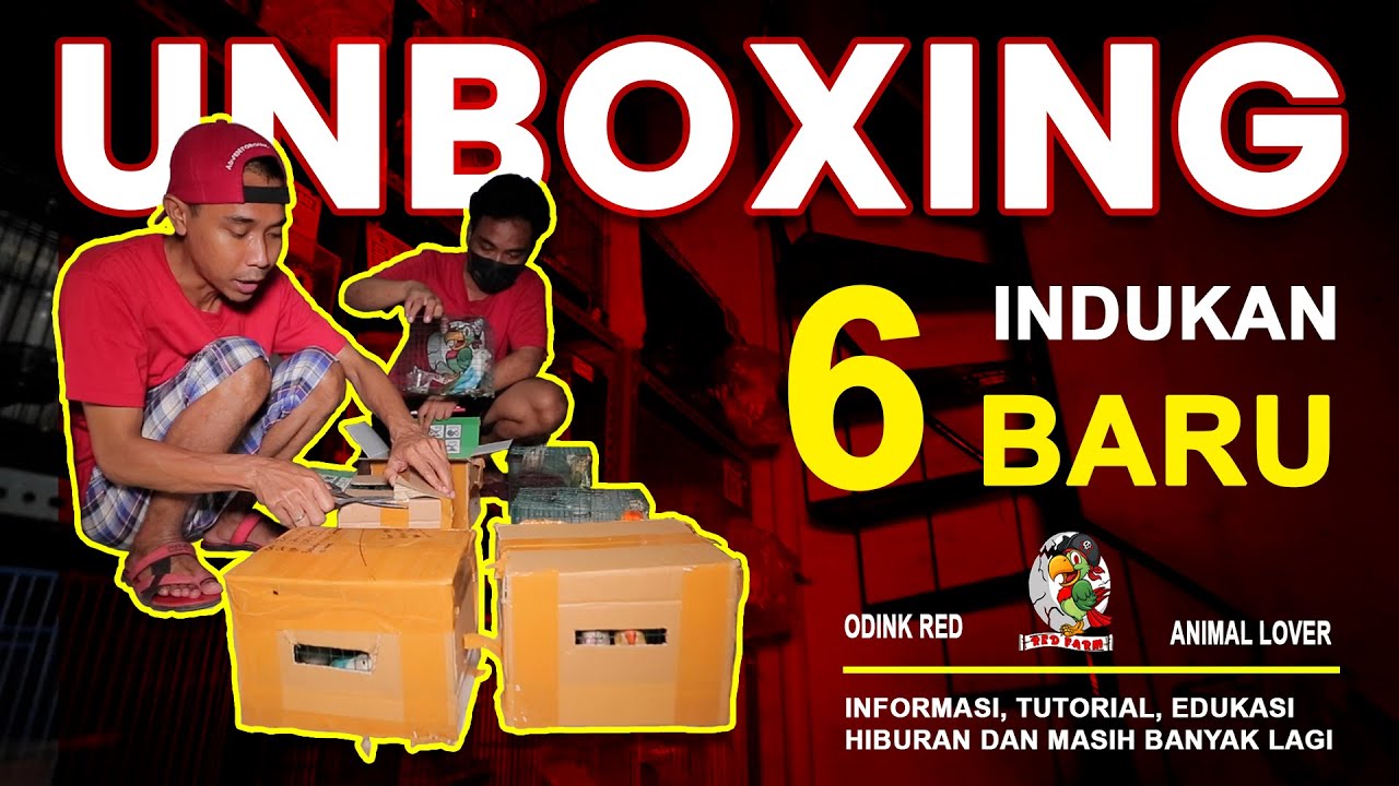 RED FARM # UNBOXING 6 PASANG INDUKAN SPLIT PF