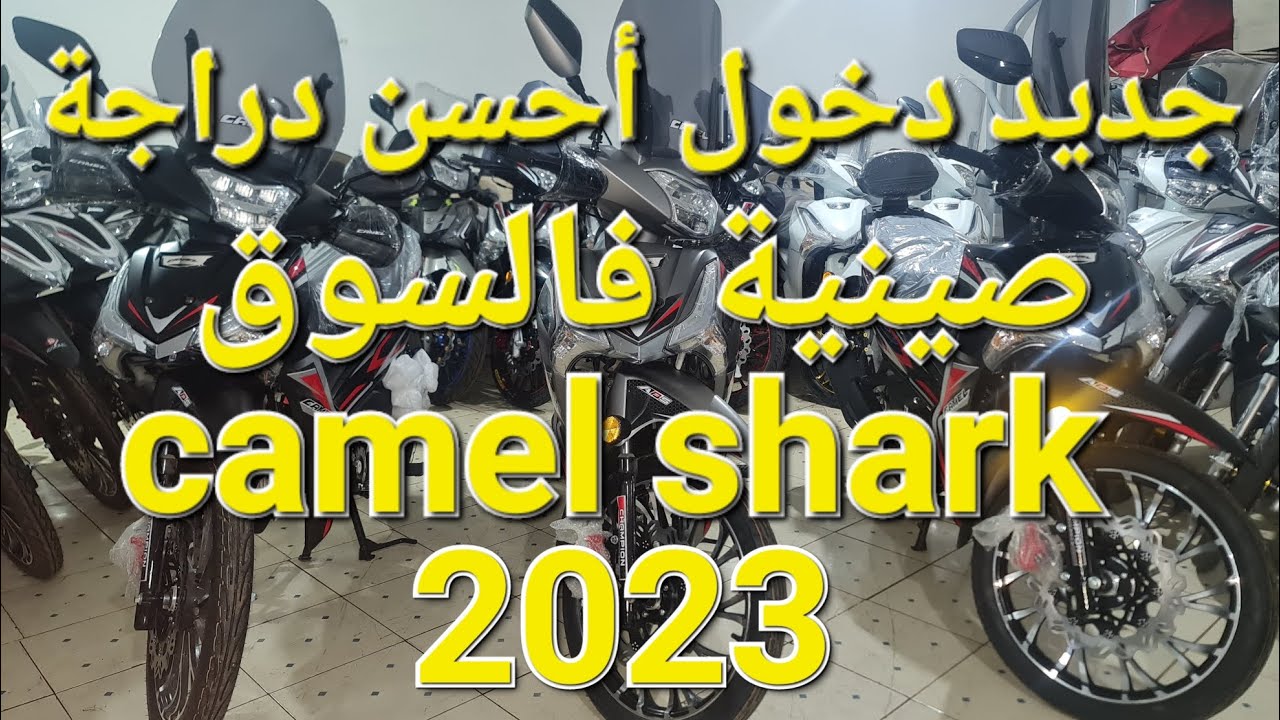 جديد دخول دراجة صينية في السوق خدامة في صمت camel shark s 50 فيها ماكينة حارة و أحسن بلاستيك