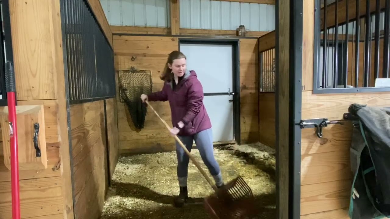 LSH Stall Cleaning