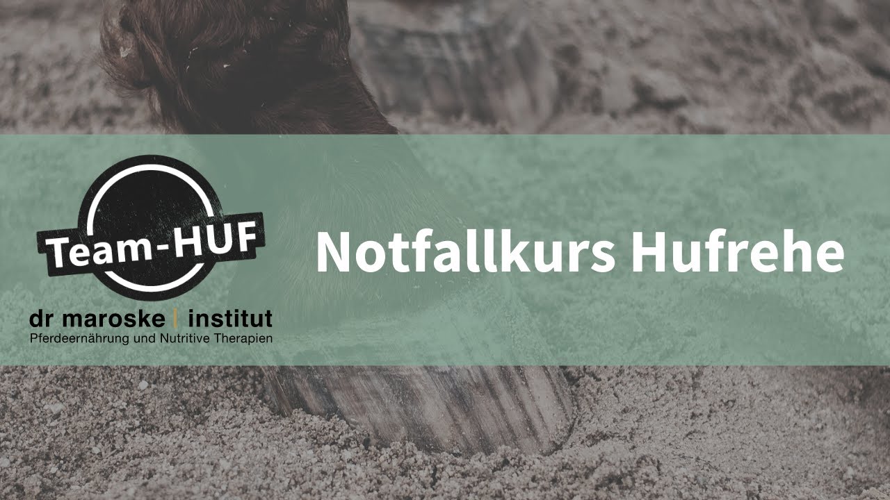 Notfallkurs Hufrehe von Team-HUF und dem Dr. Maroske Institut