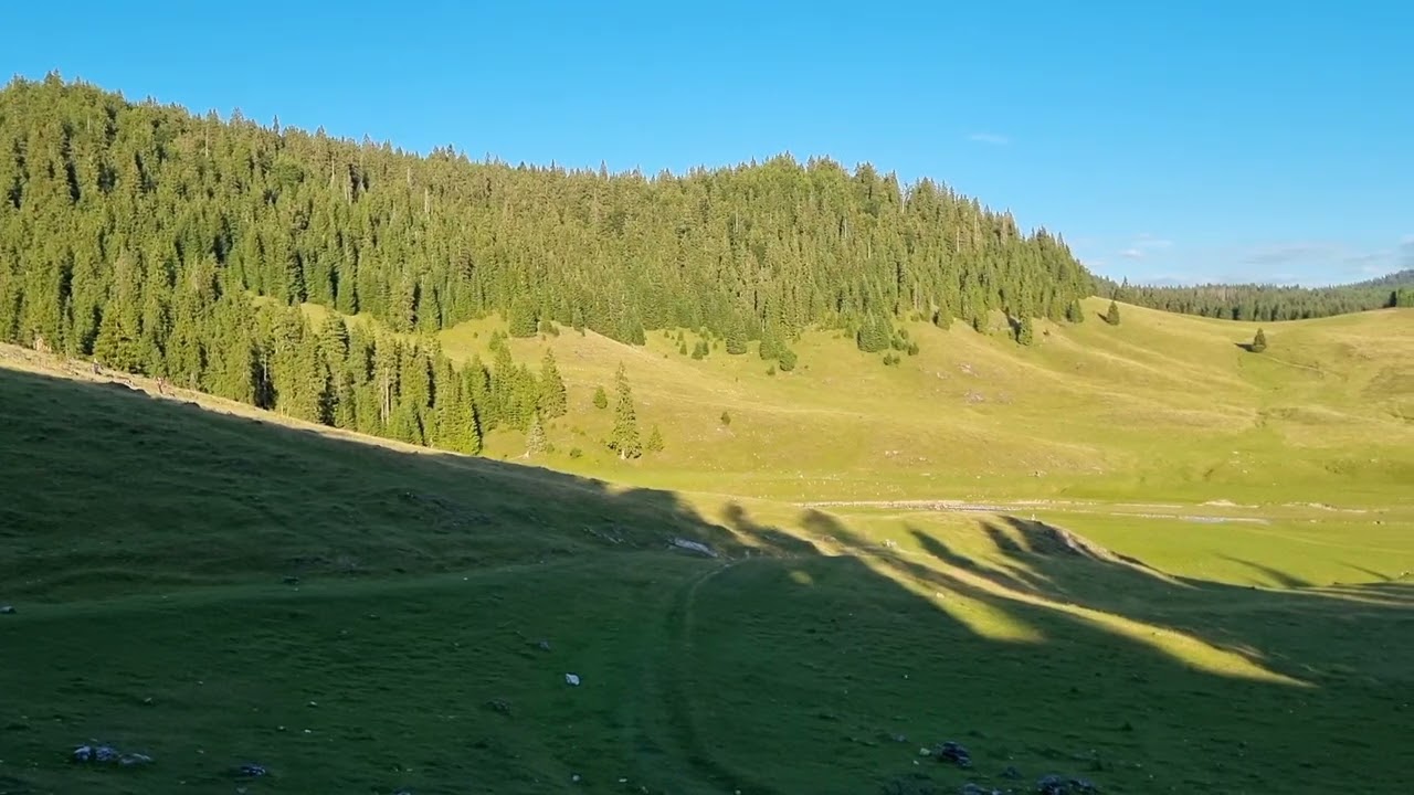 Poiana Ponor - Apuseni
