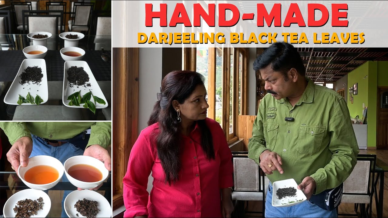 How does Hand Rolled Tea leaves Taste | Darjeeling tea tasting | #teaeducation