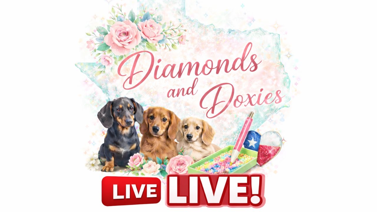 Wednesday Live! Lets Catch Up!