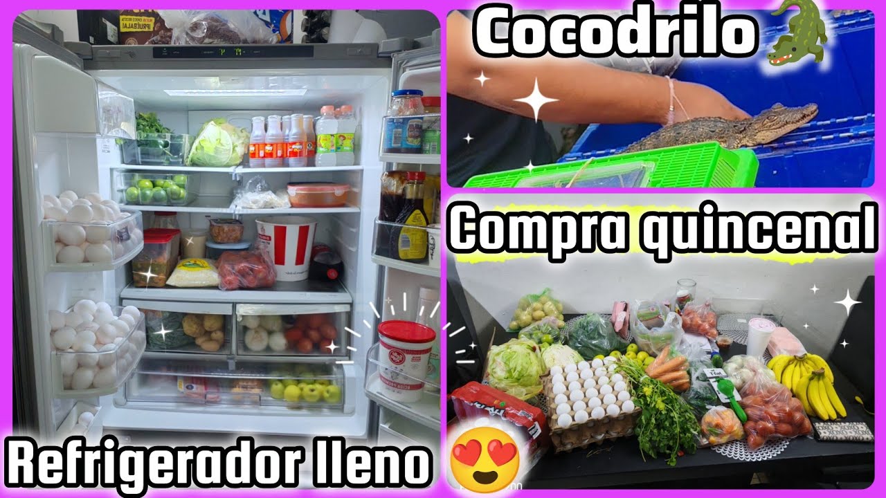 Cocodrilo🐊compra quincenal🛒 refrigerador lleno🫶