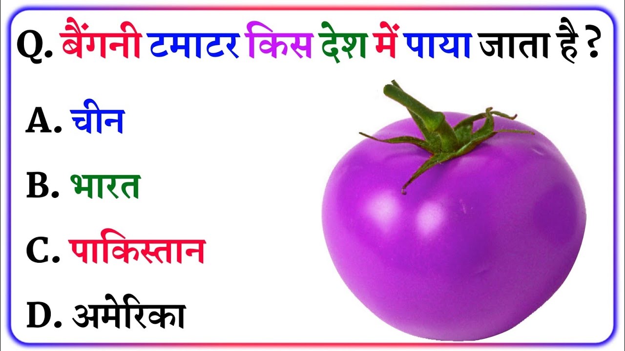 Gk Questions And Answers || Gk in Hindi || General Knowledge || Gk Quiz || NNB GK STUDY