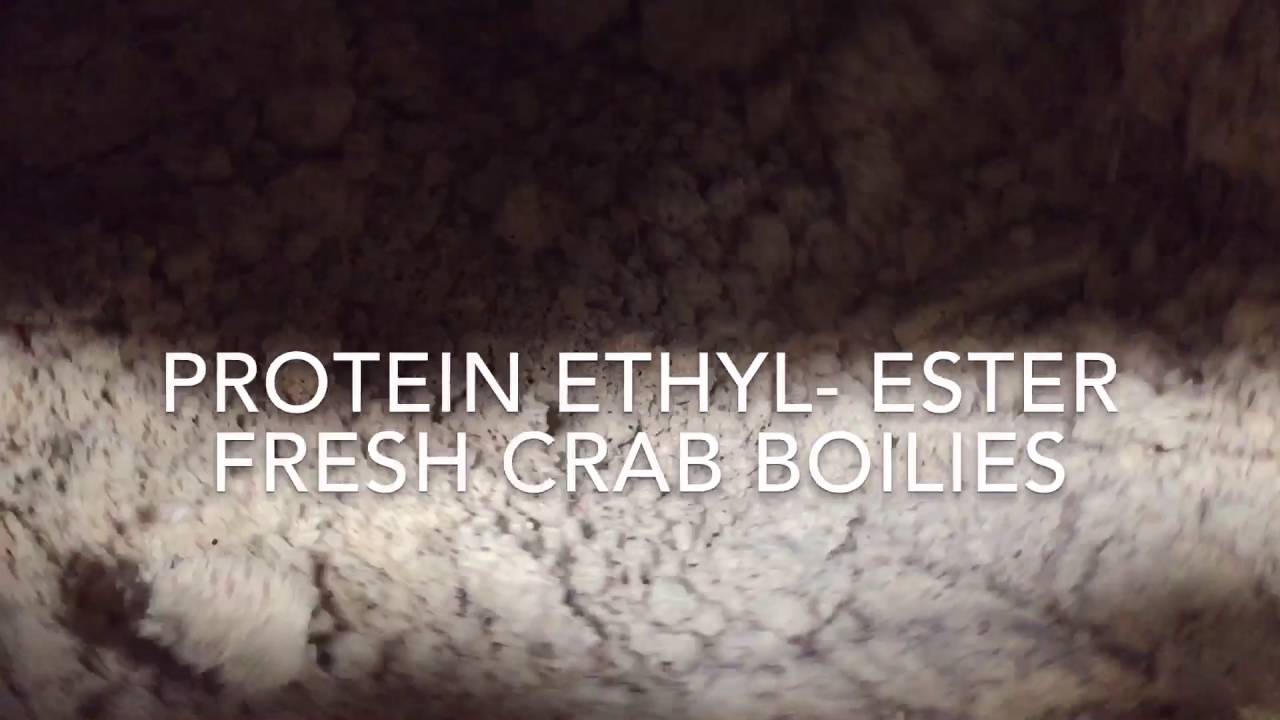 Protein Etyhl- Ester white fresh Crab Boilies