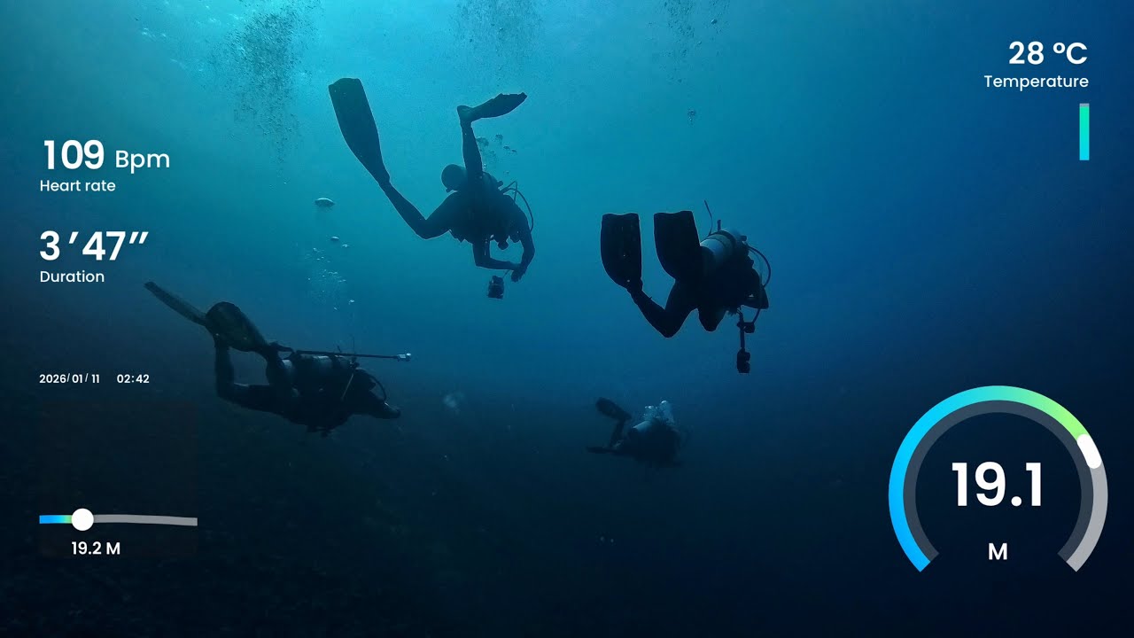 Dive 28 - Felicity Maldives - North Male Atoll - Maagiri Reef - An Eagle Ray Fly By