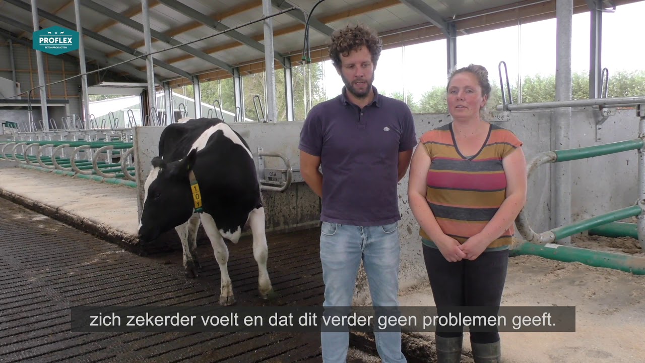 Proflex MeadowFloor bij VOF Dekker-Boonstra in Schellinkhout