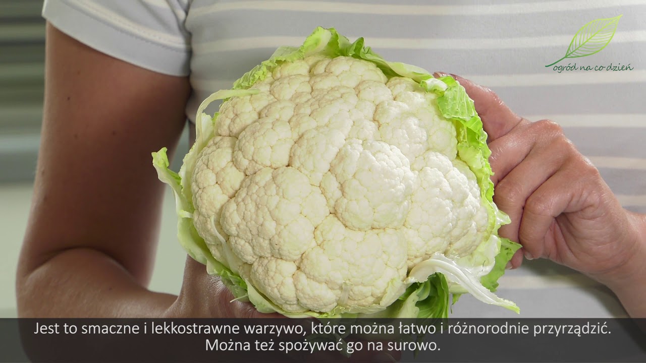 Kalarepa, brokuł i kalafior - wysiew i uprawa w ogrodzie