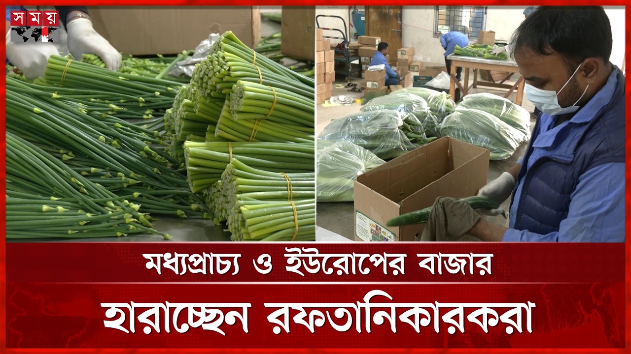 ইরান-ইসরাইলের সংঘাতে প্রায় বন্ধ বাংলাদেশের সবজি রফতানি | Vegetable export | Somoy Business