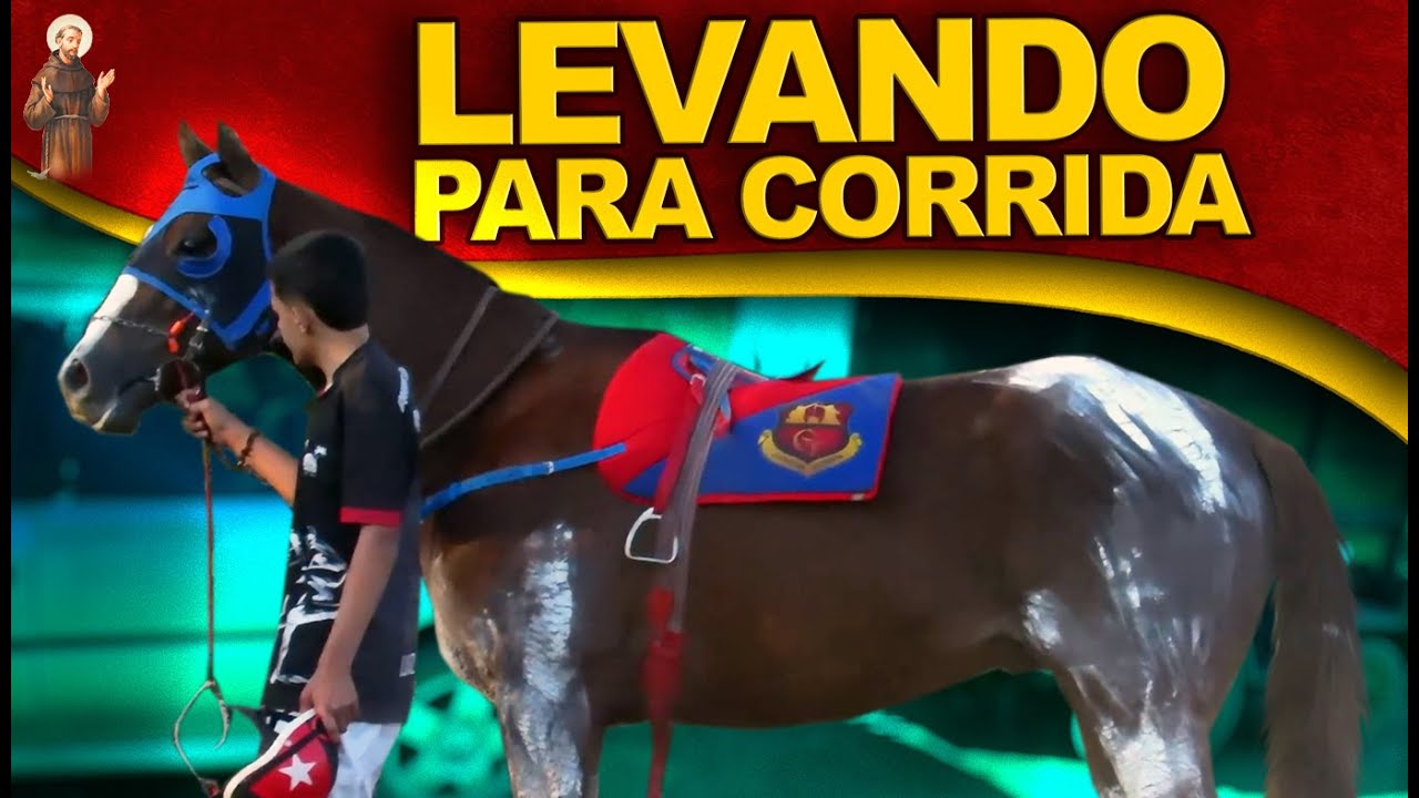 Levando Cavalo Para Corrida