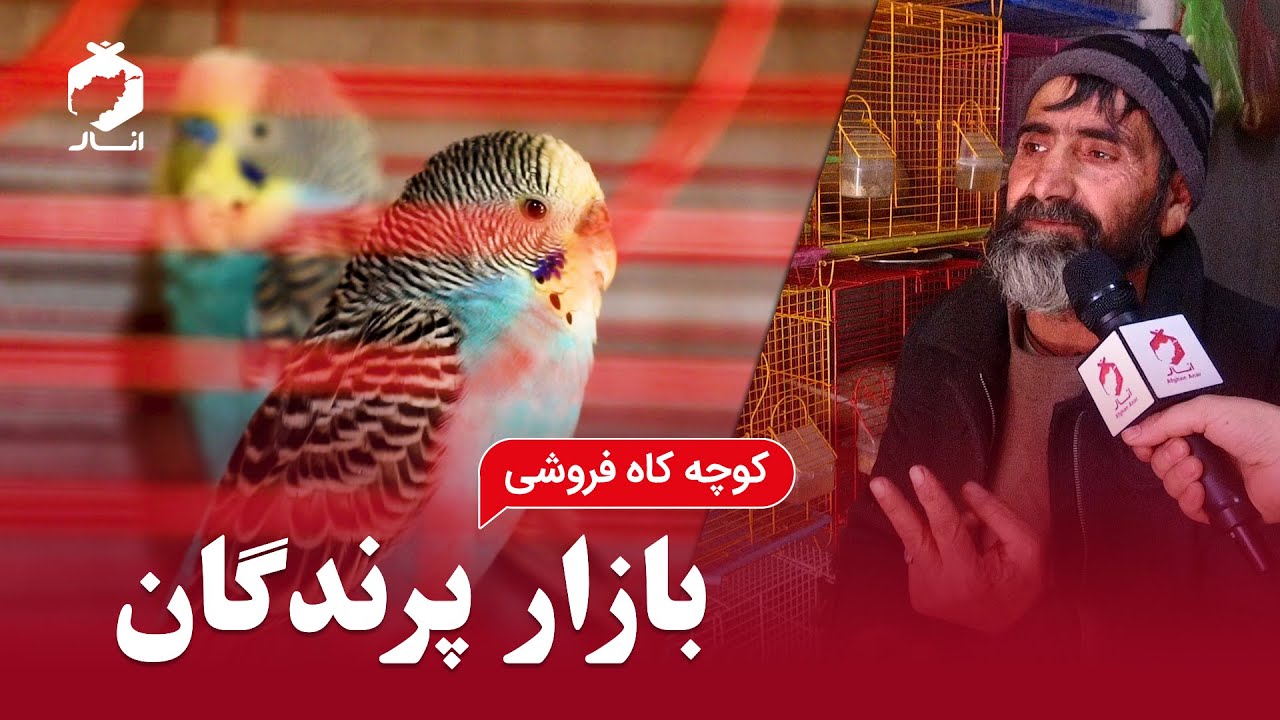 بازار پرندگان ( کوچه کاه فروشی) | The Birds Market (Straw Alley)