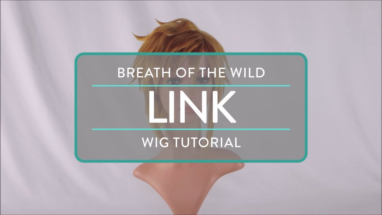 Breath of the Wild: Link Wig Tutorial