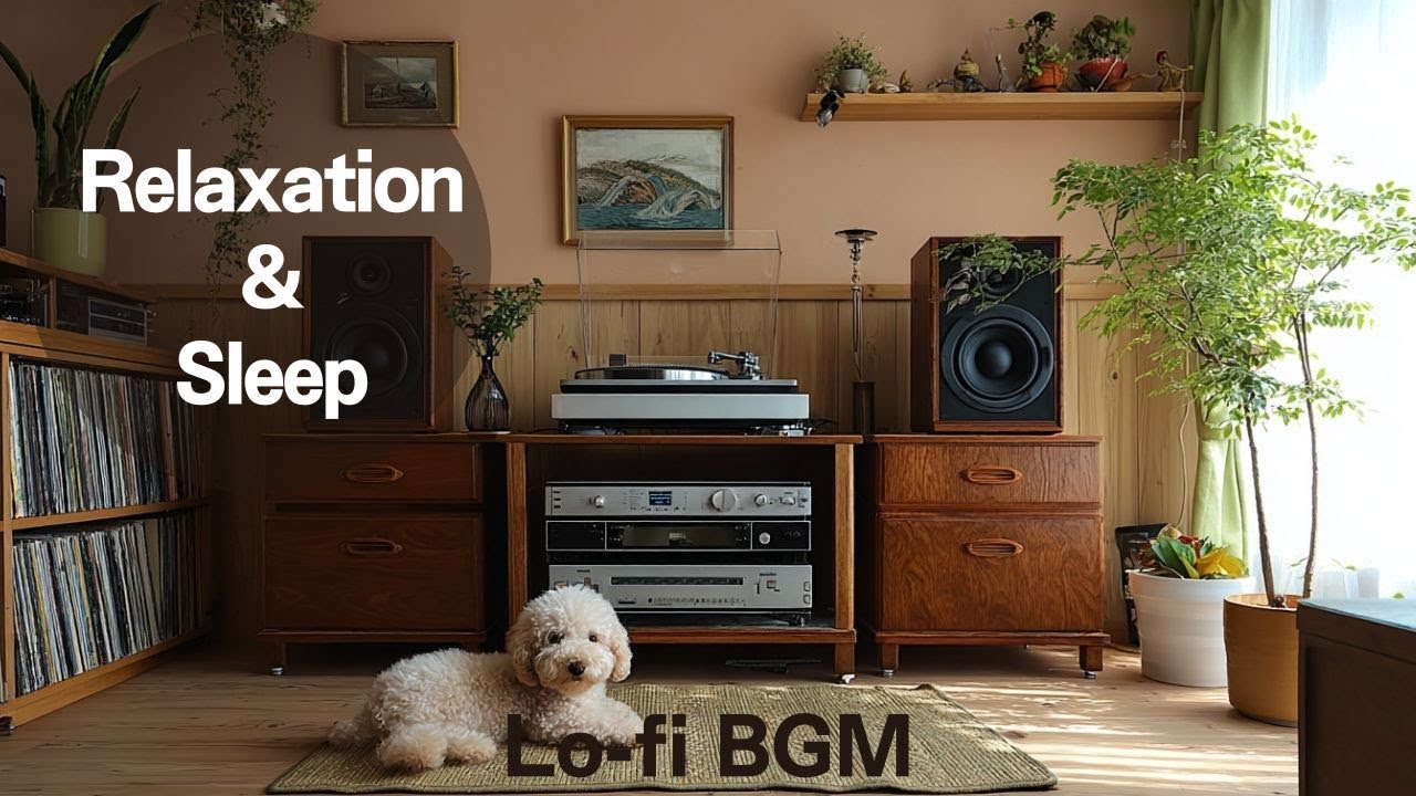 【Relaxation】Evening Wind Down｜dog｜Lofi BGM｜1Hour