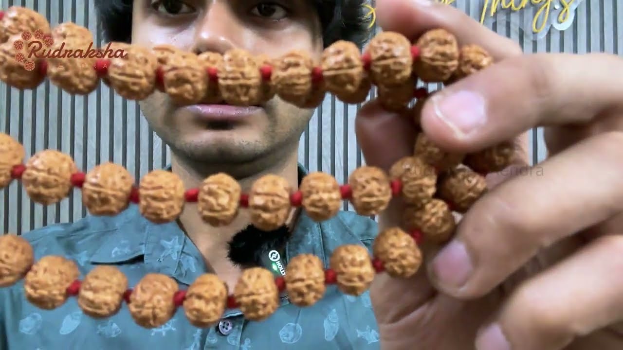 How to Check the Original Rudraksha Mala? Indonesia (JAVA) 9987835118 SIDDHESH SALAVKAR (Astrologer)