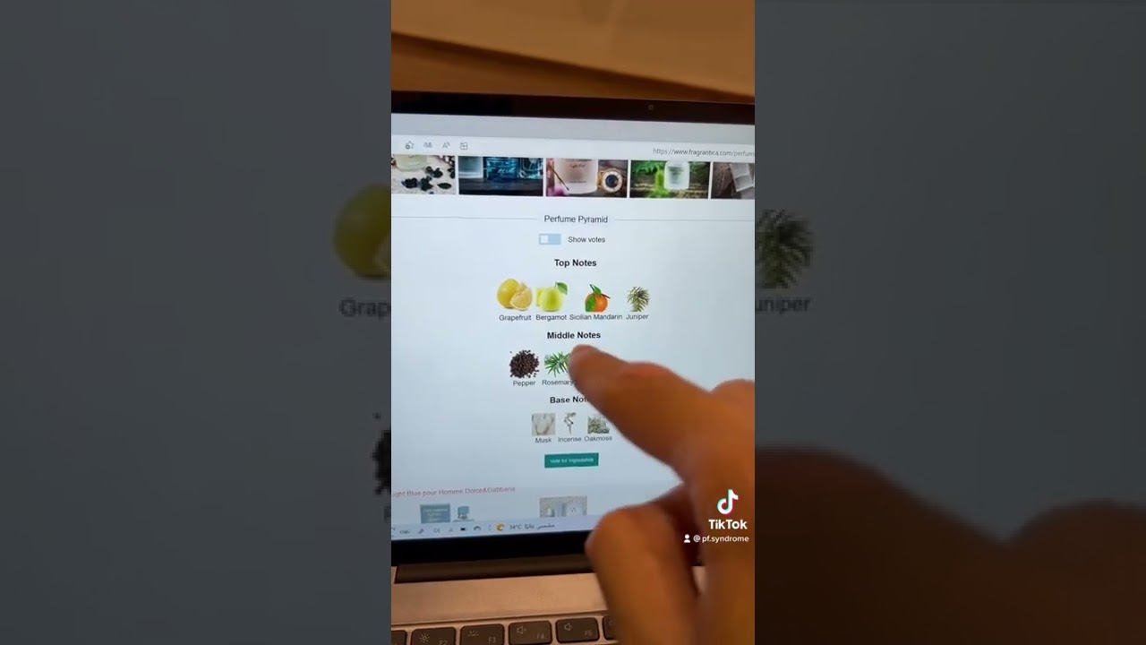 موسوعة فراقرانتيكا fragrantica