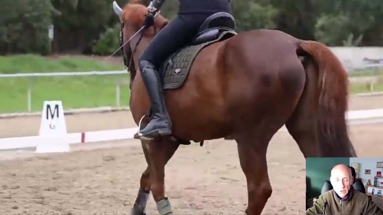 Le cheval ne veut pas avancer ; je vois 2 raisons