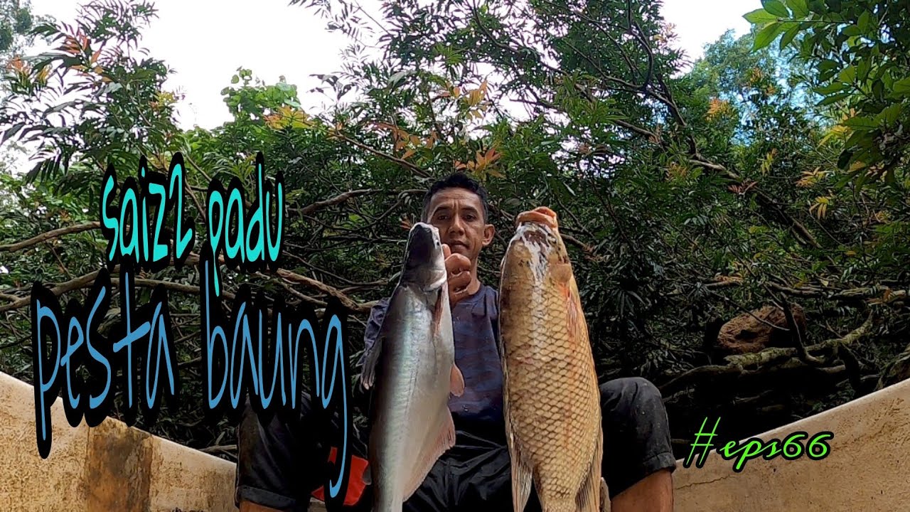 tahan jaring dan tajur baung pesta ikan saiz2 padu (#eps66)