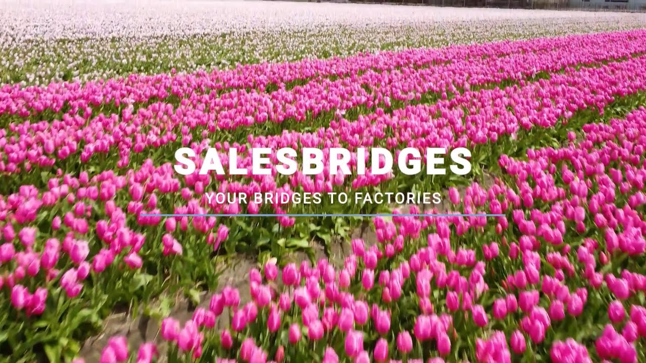 Salesbridges BV company intro 2021