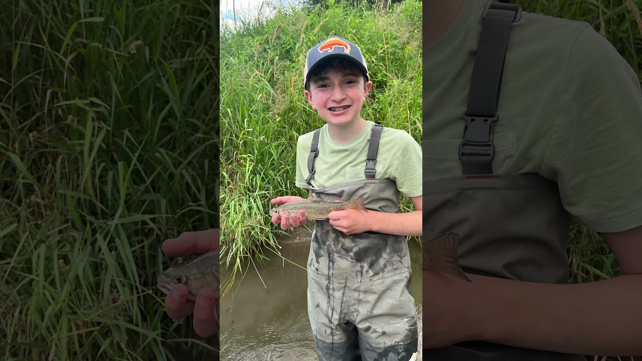 Tiny stream trophy brook trout #fishing #trout #tiny stream #trending #trouts #troutfishing