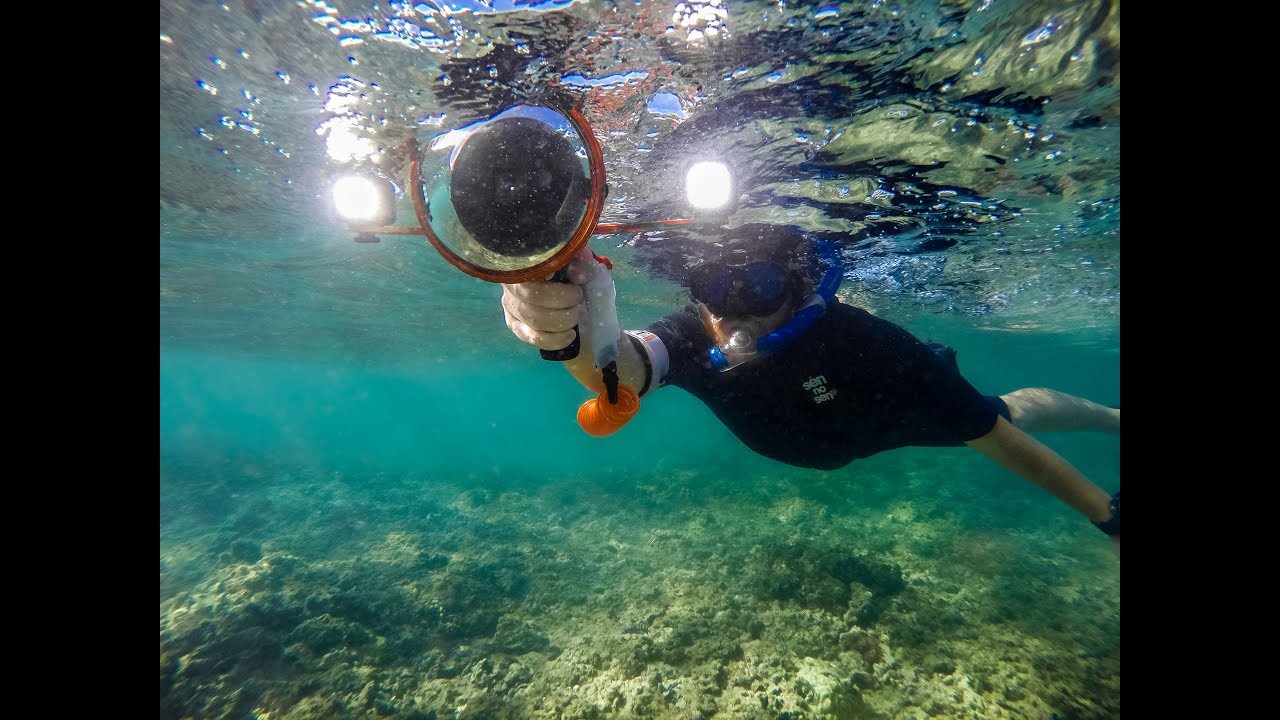 #GoPro & #Litra Torch: #Shorebreak from Dawn to Dusk with the Walsh's**