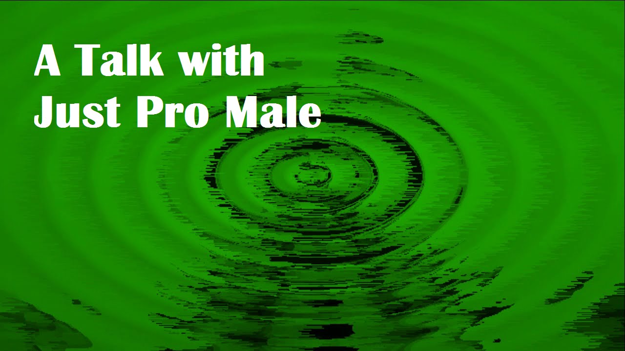 MGTOW - A talk with Just pro Male on the immigration crisis.