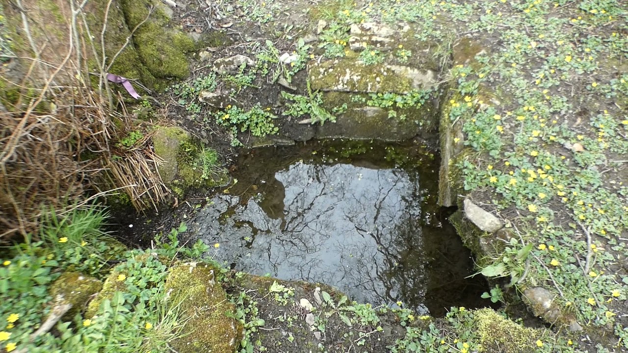 Ancient (4th century saint) holy healing Ffynnon Tegla St Tecla's Well Llandegla Denbighshire Wales