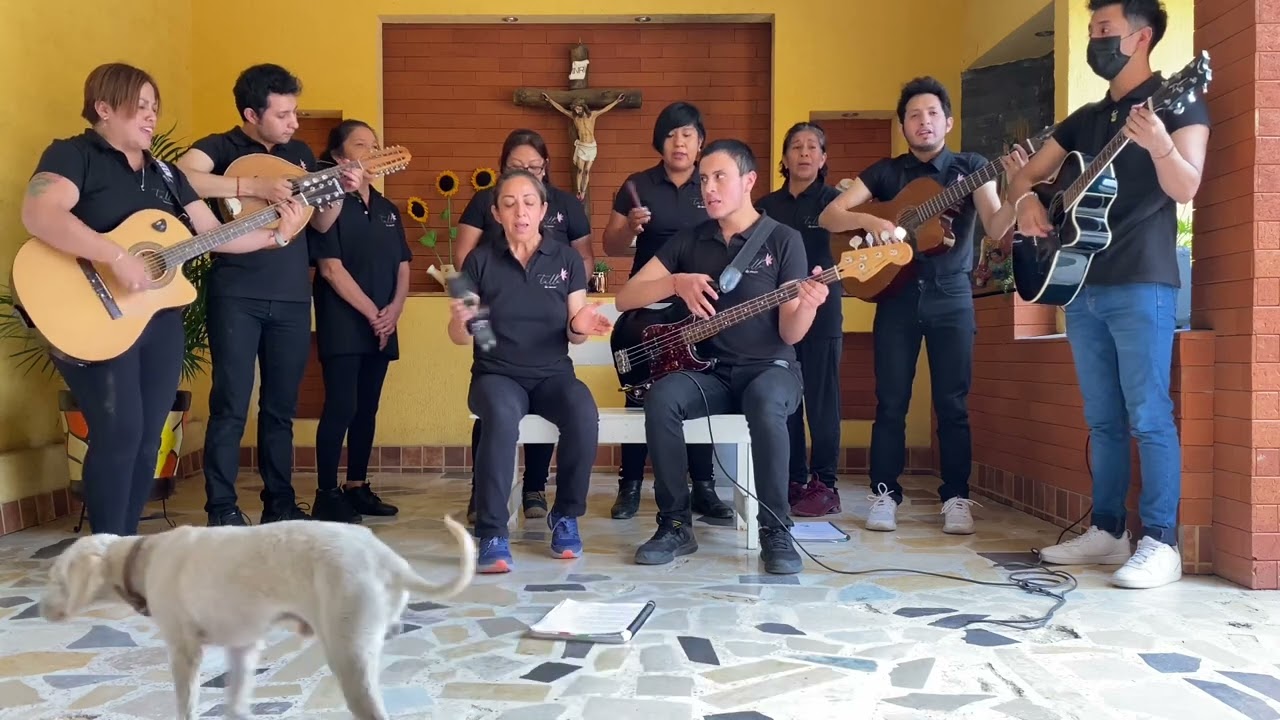 Hemos Entregado (Jésed), Canto de Ofertorio - Tallo de Amor 🍇 #m #misa