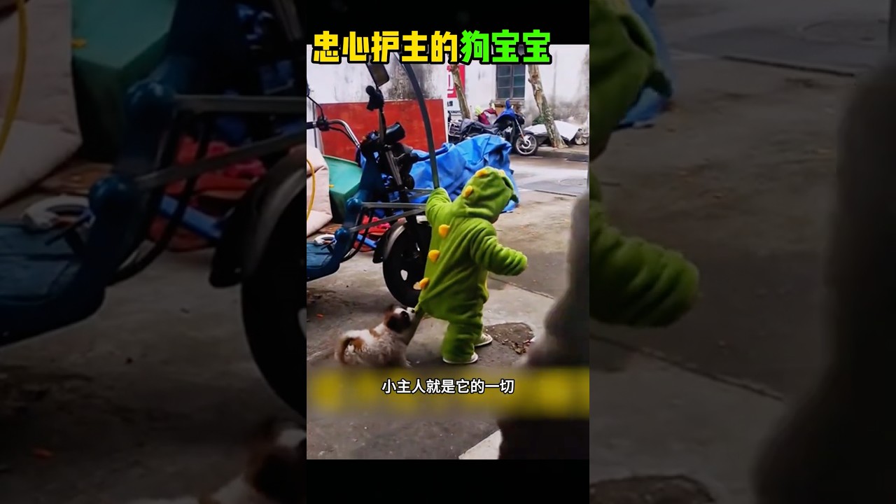 忠心护主的狗宝宝 #大熱門 #funny #搞笑视频 #感人壹幕 #搞笑 #科普 #影視解説 #影视聚焦 #熱門 #精彩影视