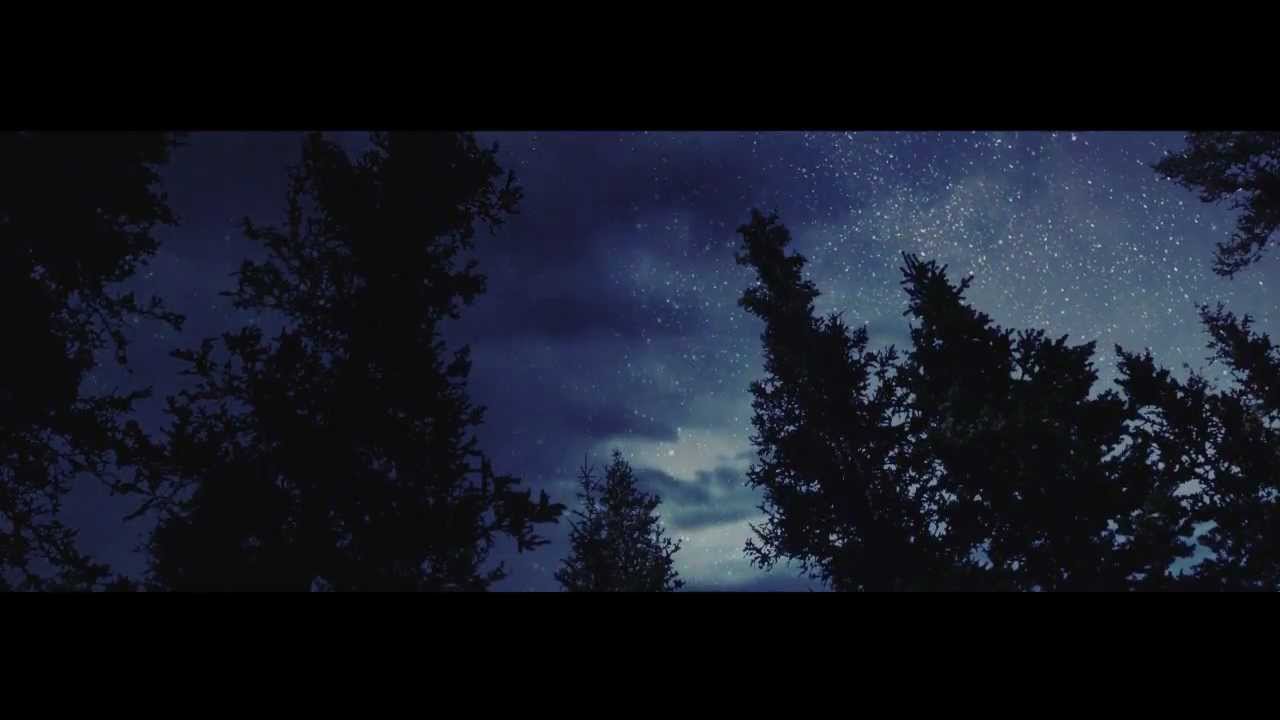 POLIÇA - 