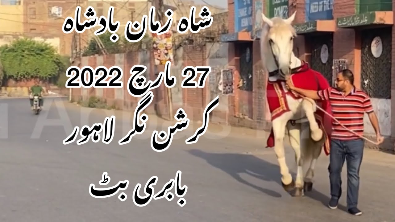 SHAHZAMAN BADSHAH | New Video 27 March 2022 | Babri Butt | Krishan Nagar Lahore