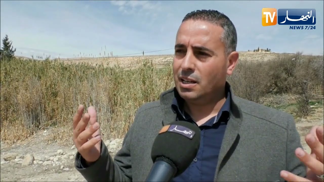 تبسة: خطا 
