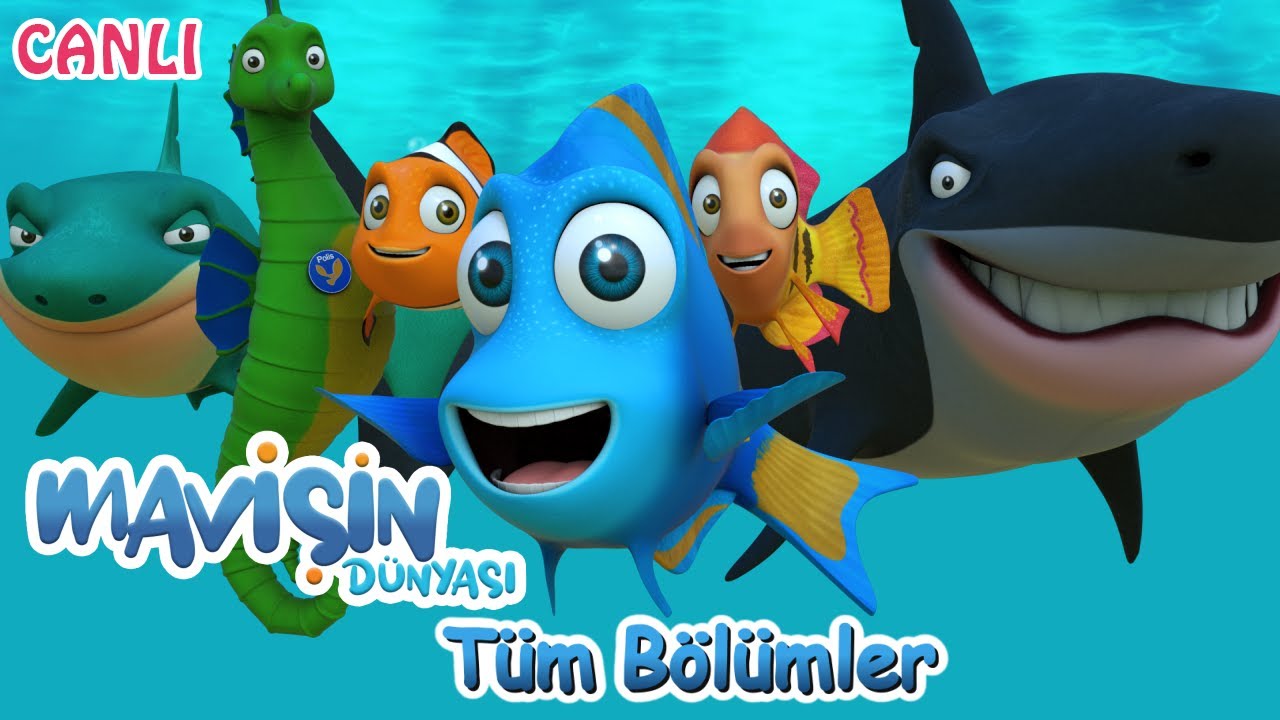 Mavişin Dünyası ❤️ Çocuklar İçin Türkçe Çizgi Film ❤️ En Güzel Bölümleri İzle ❤️ Canlı Yayın - Live