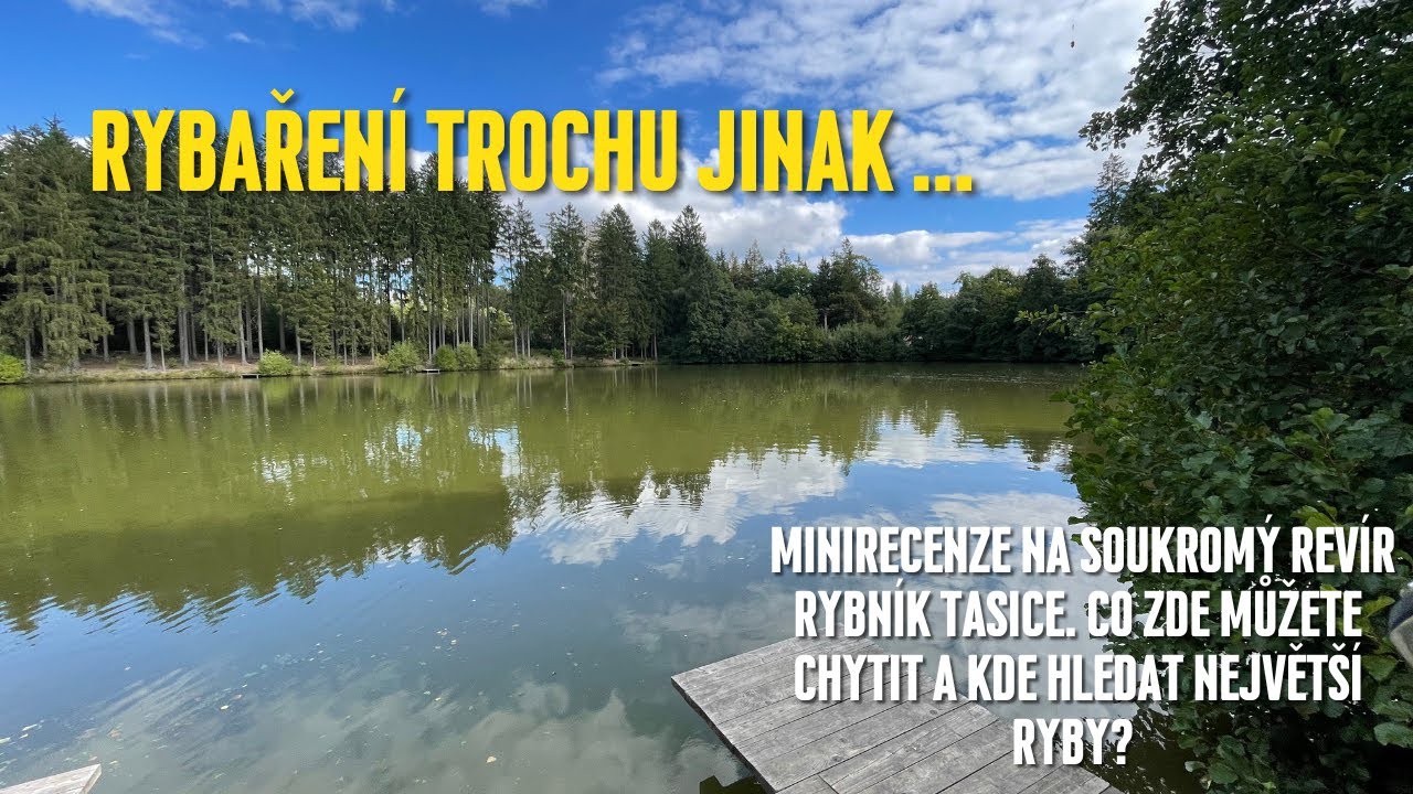 Minirecenze na soukromý revír Rybník Tasice | Co tady můžete chytit a kde hledat největší ryby?