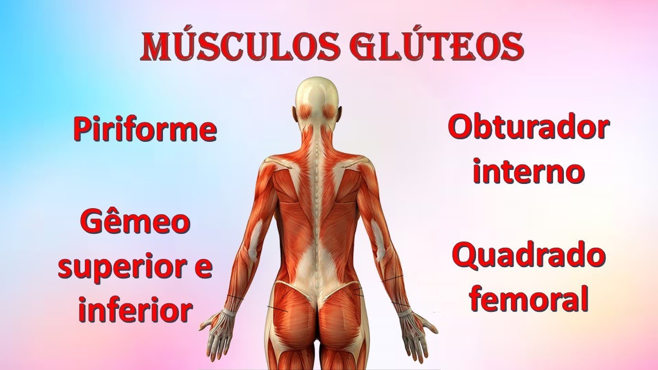 Músculos: piriforme, obturador interno, gêmeos superior e inferior e quadrado femoral