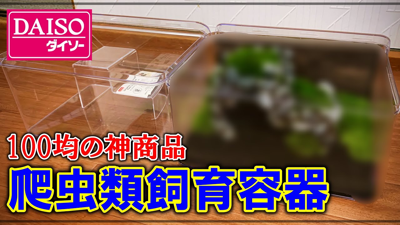 【DAISO】爬虫類愛好家に朗報！100均の神商品