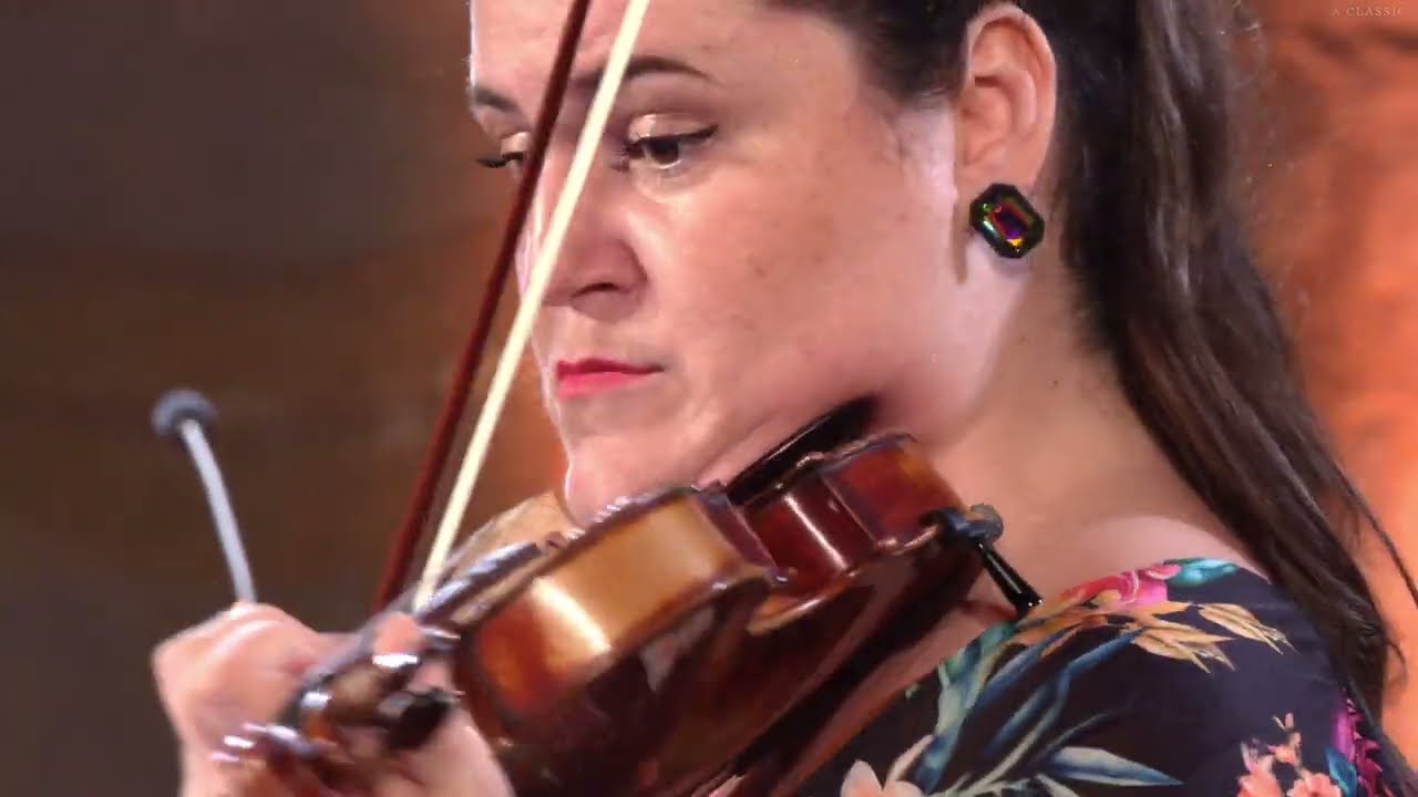 A. Vivaldi: Četiri godišnja doba Proljeće Komorni orkestar Jastrebarsko Solist Teodora Sucala-Matei