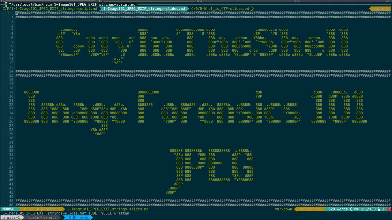 CTF - Image Forensics 101