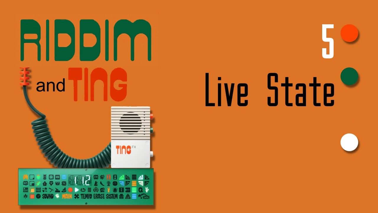 Teenage Engineering EP-40 Riddim - Tutorial 5 (Live State)