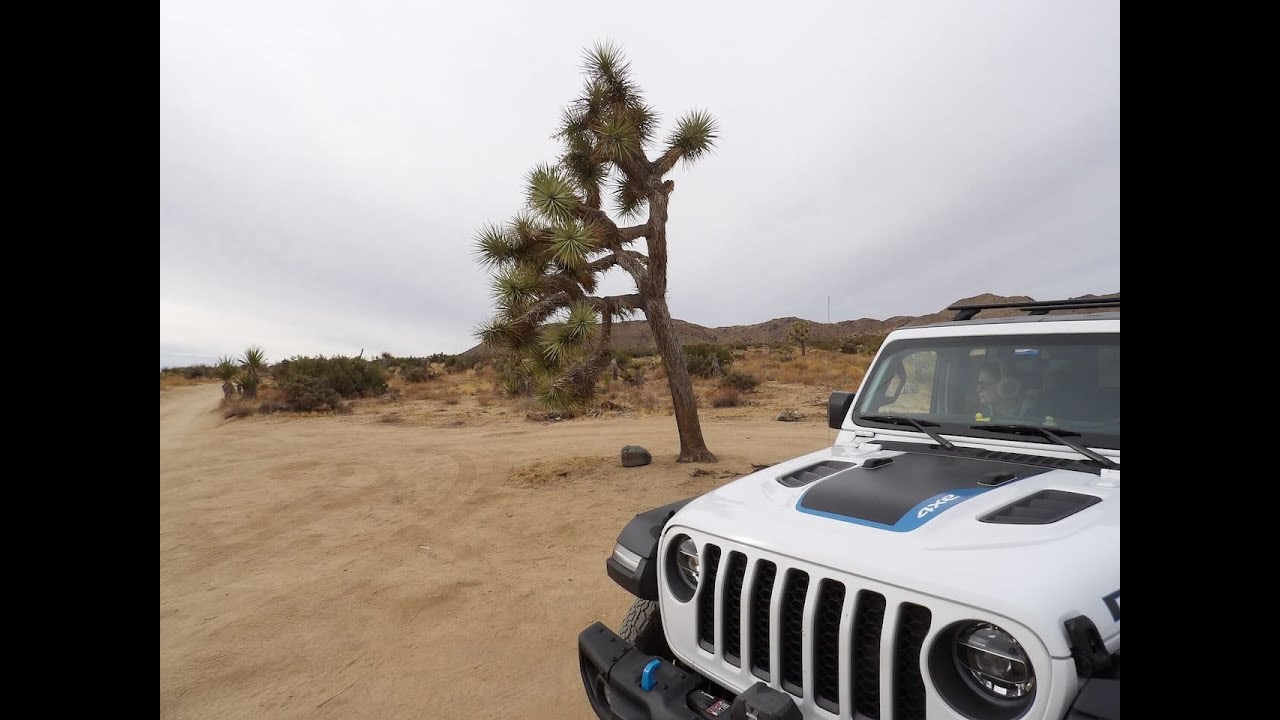 Berdoo Canyon Road into Joshua Tree National Park and Old Dale Road Out