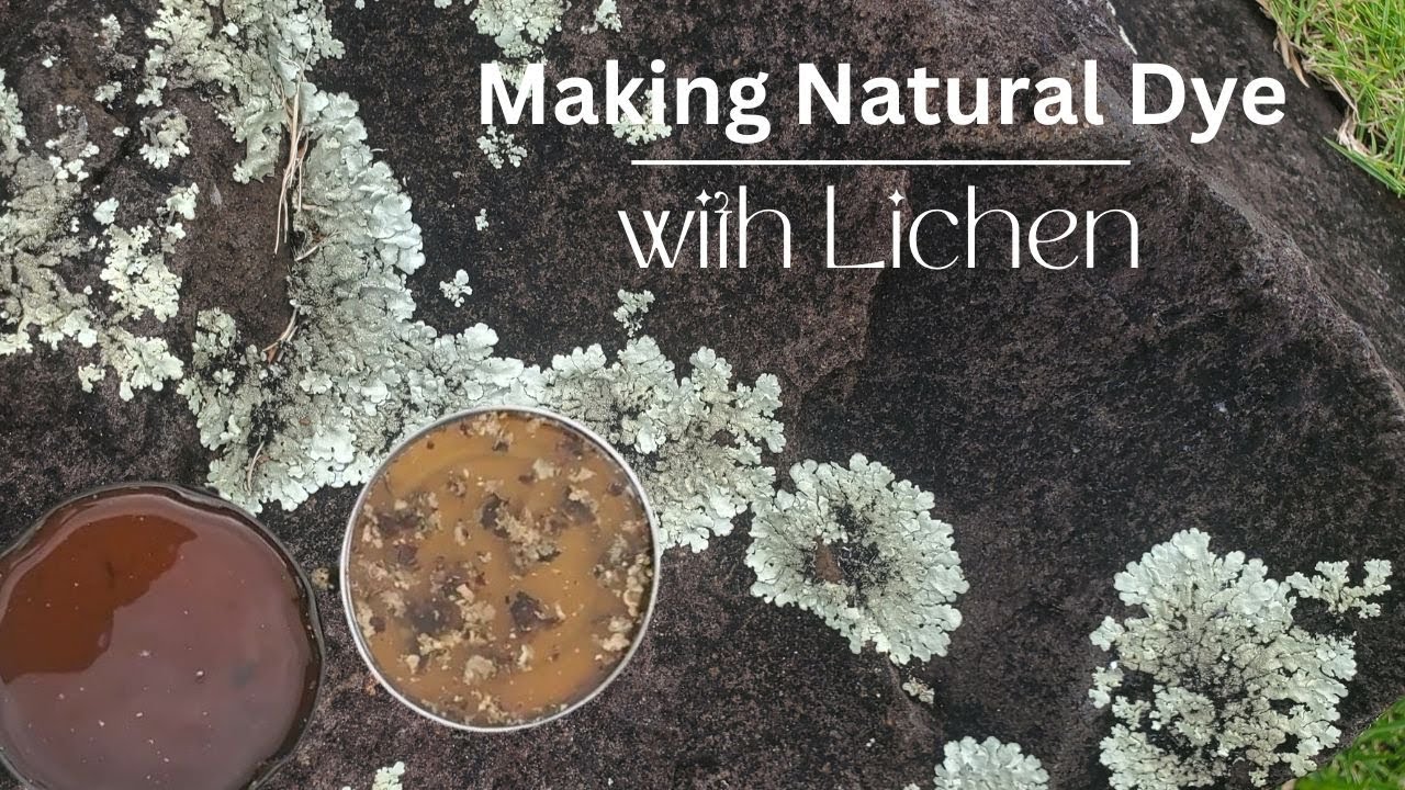 Natural Color With Lichens