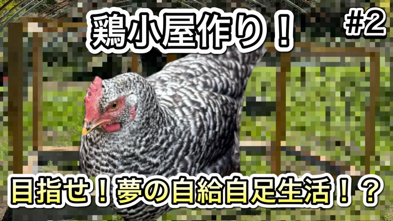 【鶏小屋作り】#2 柱を立てる！が、テンションだだ下がり？？
