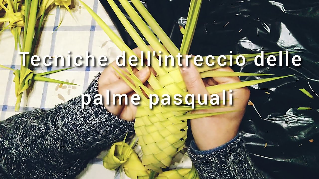 Tecniche dell'intreccio delle palme pasquali #sardegna #2023 #mandrolisai #sorgono