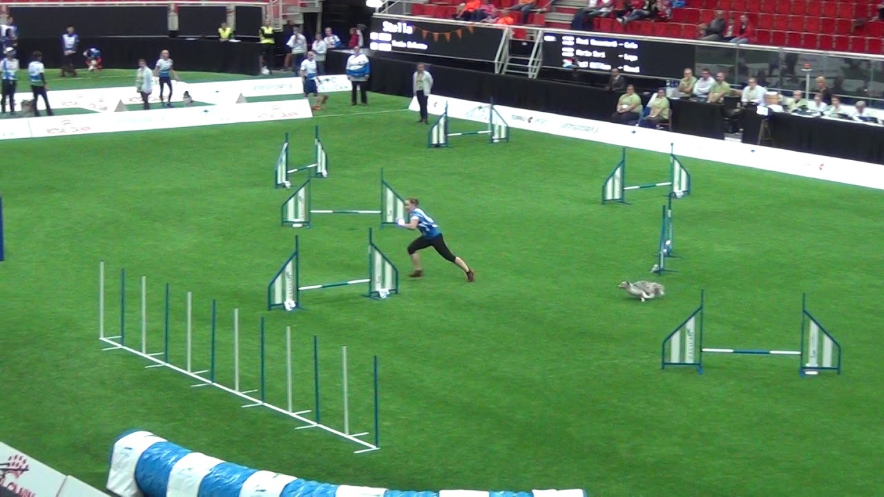 Vekara Agility , MM SUOMI mini joukkue