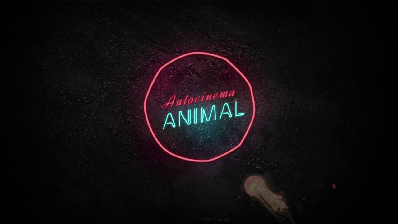 AUTOCINEMA - ANIMAL (LYRIC VIDEO)