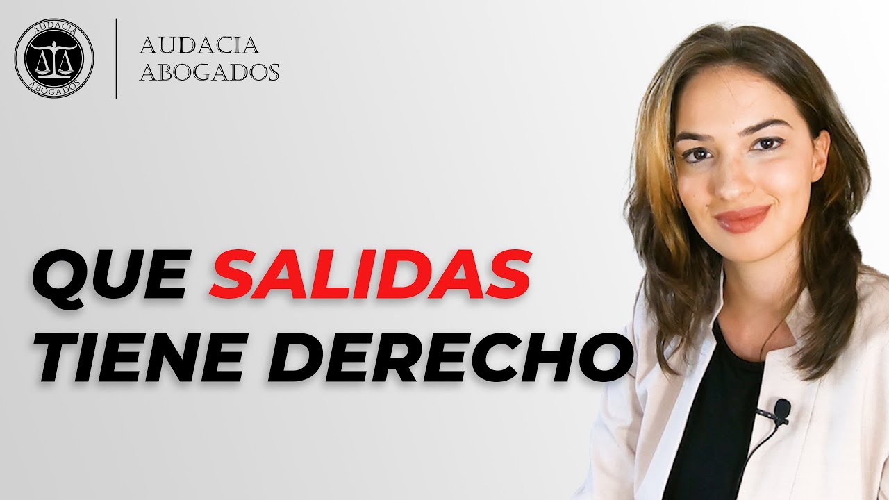 Que salidas tiene la carrera de derecho