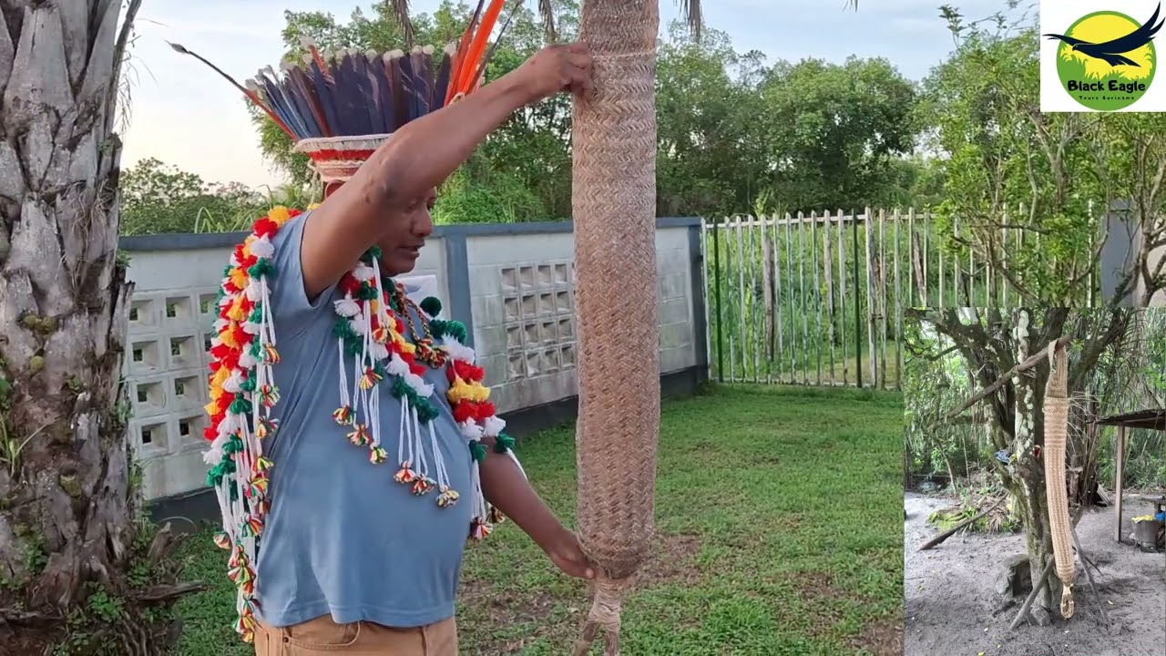 Informatiefilmpje Matapi of cassavepers
