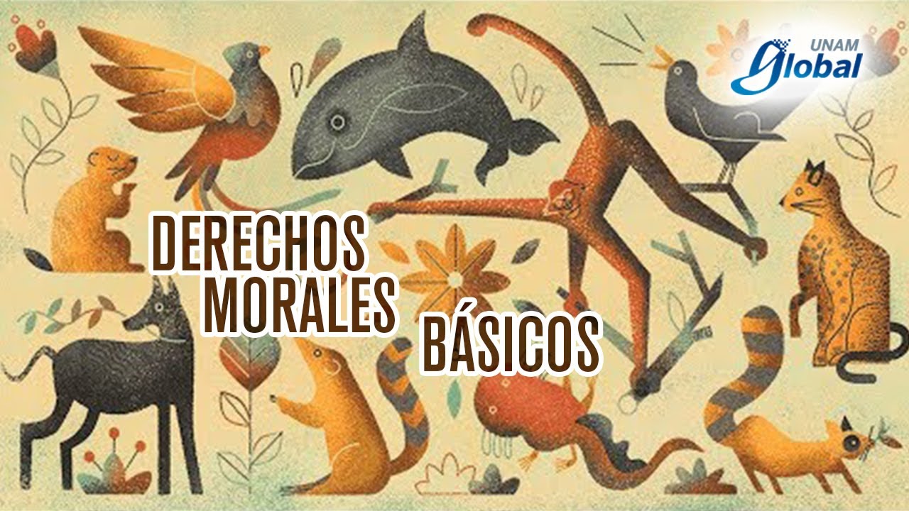 ¿Los animales también tienen derechos? - UNAM Global
