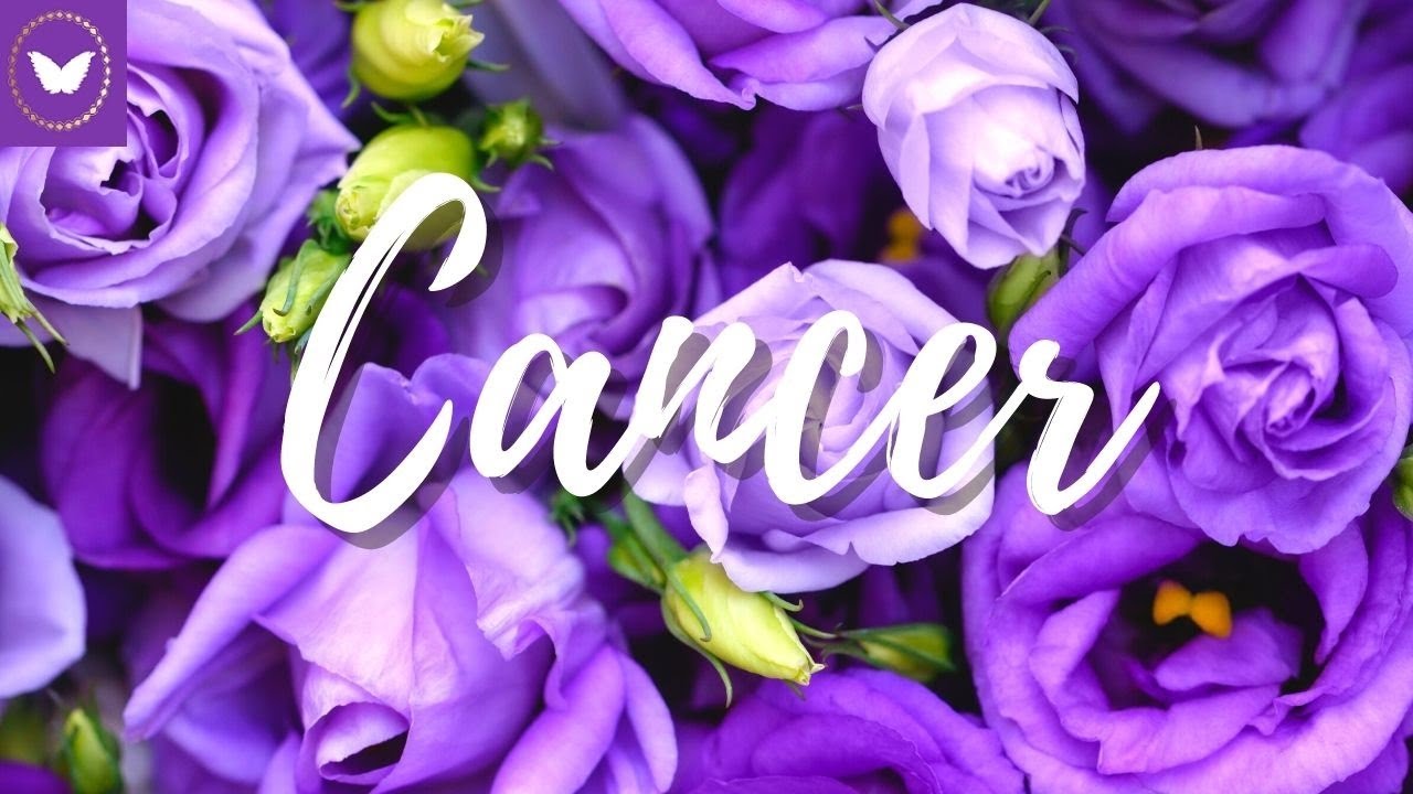 Cancer they have unconditional love for you! 💖 December 2021 Tarot Reading